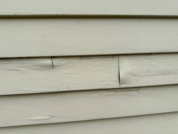 Property Management Cleanouts in Bellingham, WA